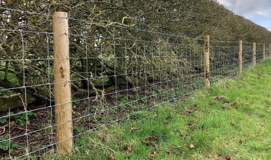 Livestock Fencing